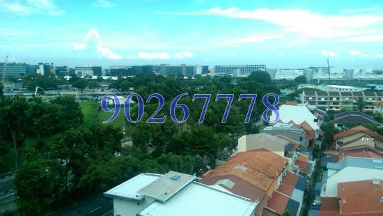 Simei Green Condominium (D18), Condominium #130271892